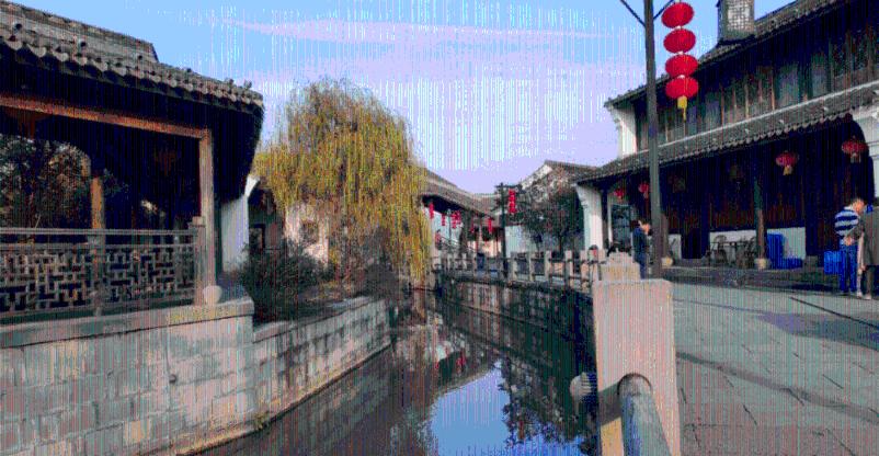 救命,我实在不知道我家崽子什么品种啦!【文化平台】
